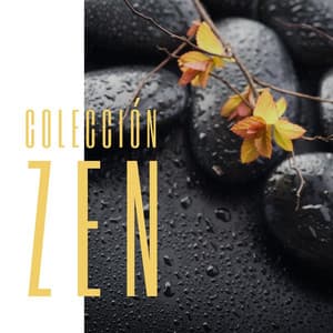Colección Zen: Música de Meditación que Inspira Armonía y Equilibrio, Sonidos de la Naturaleza Relajantes - New Age Relajación Science