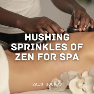 Rain Sounds: Hushing Sprinkles of Zen for Spa - Danny Rainsounds