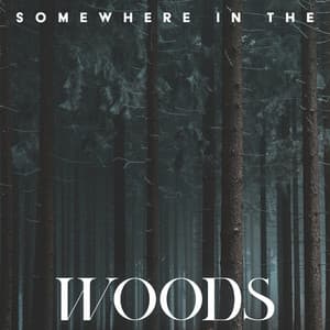 Somewhere in the Woods: Relaxing Mix of Birds, Brook, Rain Sounds - Forest Hills Music Universe