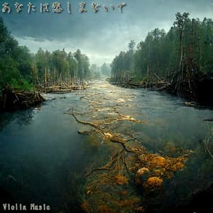 あなたは悲しまないで - Violin Music