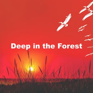 Deep in the Forest - Sounds of Nature for Deep Sleep and Relaxation