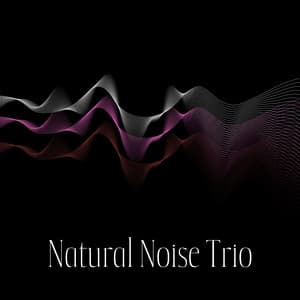 Natural Noise Trio: Improved Focus Brown Noise, Deeper Sleep Pink Noise, Ultimate Relaxation White Noise - Natural Zen Meditation White Noise