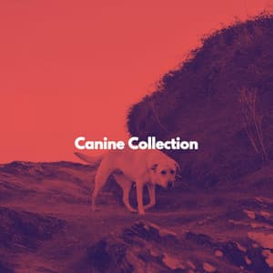 Canine Collection - Cafeteria Musica de lujo