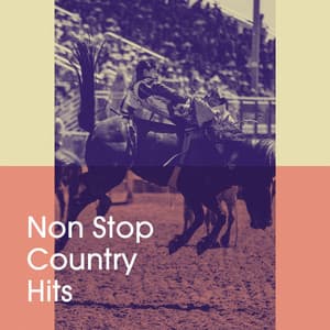 Non Stop Country Hits - Country Music Heroes