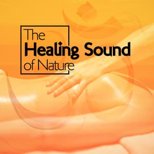 The Healing Sound of Nature - Sounds Of Nature