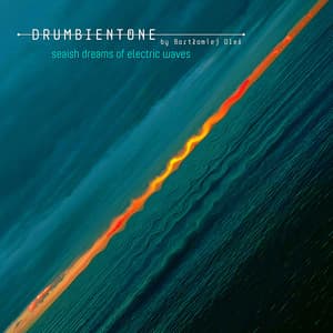 Seaish Dreams of Electric Waves - Bartłomiej Oleś