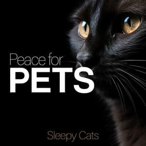 Peace for Pets - Sleepy Cats