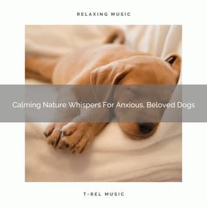 Calming Nature Whispers For Anxious, Beloved Dogs - Dog Total Relax
