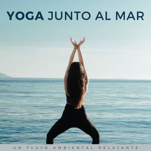 Yoga Junto Al Mar: Un Flujo Ambiental Relajante - Relajacion Sonidos Del Mar y Oceano