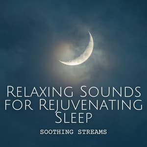 Soothing Stream: Relaxing Sounds for Rejuvenating Sleep - Streams of Dreams