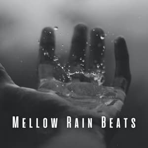 Mellow Rain Beats - elderflowers