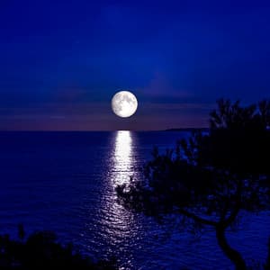Flowing Waters of Peace: Serenade Under Moonlight - Aquamoon