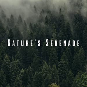 Nature's Serenade: Relaxing Massages with Chill Sounds - The Nature Soundscapes