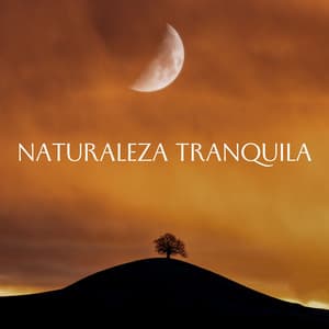 Naturaleza Tranquila - Naturaleza Sonidos