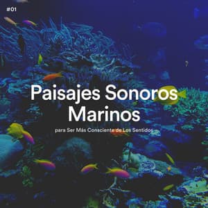 #01 Paisajes Sonoros Marinos para Ser Más Consciente de Los Sentidos - Olas del Mar