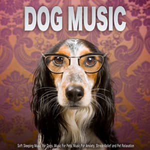 Dog Music: Soft Sleeping Music For Dogs, Music For Pets, Music For Anxiety, Stress Relief and Pet Relaxation - Dog Music Dreams