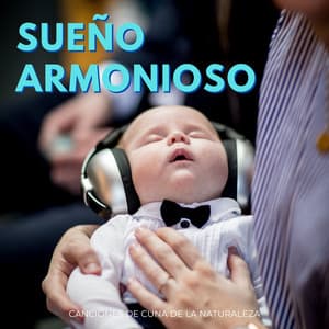 Sueño Armonioso: Canciones De Cuna De La Naturaleza - Investigación de sonidos de la naturaleza