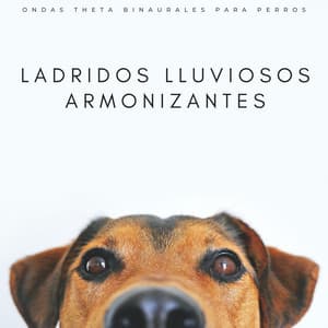 Ladridos Lluviosos Armonizantes: Ondas Theta Binaurales Para Perros - Binauralidades