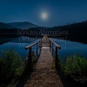Sonidos Afirmativos De La Naturaleza | Música Relajante | Dormir - Nature Sounds Nature Music