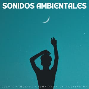 Sonidos Ambientales: Lluvia Y Música Calma Para La Meditación - Alinear Chakras
