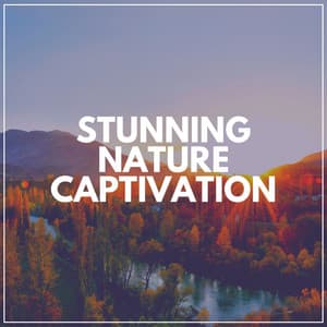 Stunning Nature Captivation - Recording Nature