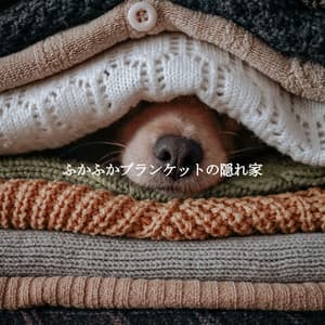 ふかふかブランケットの隠れ家 - Light Jazz Coffee House