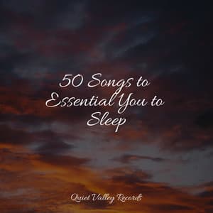 50 Songs to Essential You to Sleep - Natural Samples