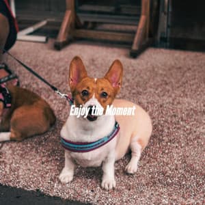 Enjoy the Moment - Deluxe Cafe Jazz