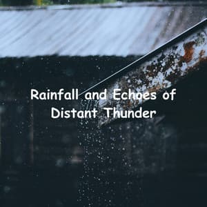 Rainfall and Echoes of Distant Thunder - Rain Hard