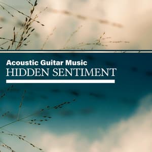 Hidden Sentiment - Acoustic Guitar Music