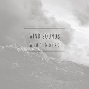 Wind Noise - Wind Sounds