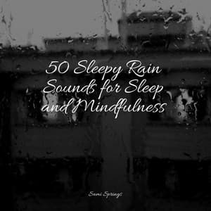 50 Sleepy Rain Sounds for Sleep and Mindfulness - Sleep Rain