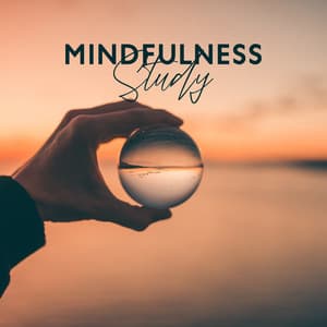 Mindfulness Study: Music to Improve Your Studies and Work - Classical Study Music