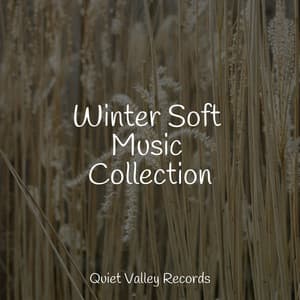 Winter Soft Music Collection - Sleeping Music