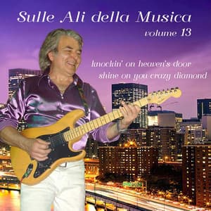 Sulle ali della musica, Vol. 13 - Cicci Guitar Condor