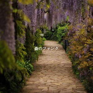 森のファンク - Modern Jazz Playlist