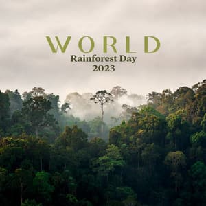 World Rainforest Day 2023: Soothe Your Mind and Body with Rainforest Sound and Instrumental Melody - Healing Rain Sound Academy