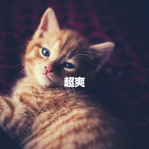 超爽 - Jazz Classics for Reading