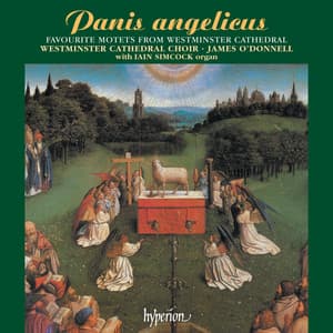 Panis angelicus – Favourite Motets from Westminster Cathedral - Westminster Cathedral Choir