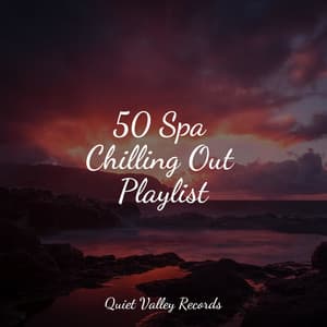 50 Spa Chilling Out Playlist - Zona Música Relaxante