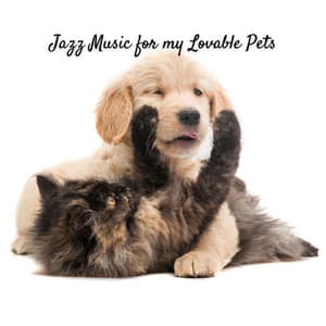 Jazz Music for my Lovable Pets - Smooth Jazz Radio