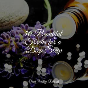 50 Beautiful Tracks for a Deep Sleep - Reiki Music