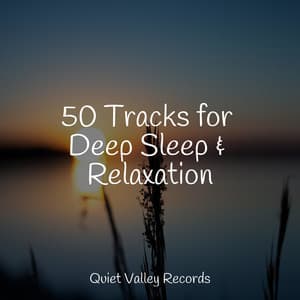 50 Tracks for Deep Sleep & Relaxation - Deep Focus