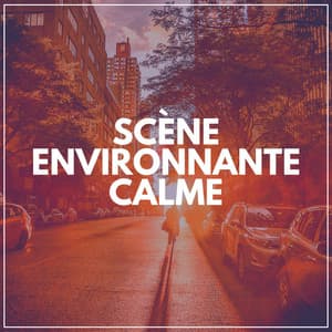 Scène Environnante Calme - Zen Ambiance D'eau Calme