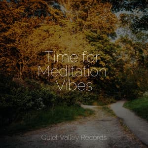 Time for Meditation Vibes - Academia de Música para Massagem e Relaxamento