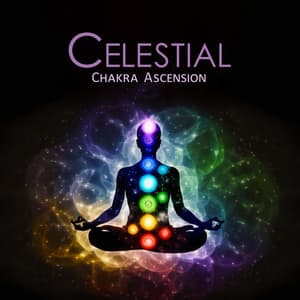 Celestial Chakra Ascension: Journey Through Energy Centers - Sacral Chakra Universe