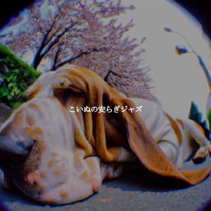 こいぬの安らぎジャズ - Hotel Lobby Jazz Group