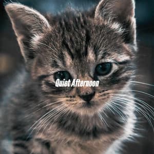 Quiet Afternoon - Chillout Jazz Deluxe