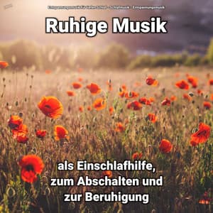 ! ! ! ! ! Ruhige Musik als Einschlafhilfe, zum Abschalten und zur Beruhigung - Entspannungsmusik