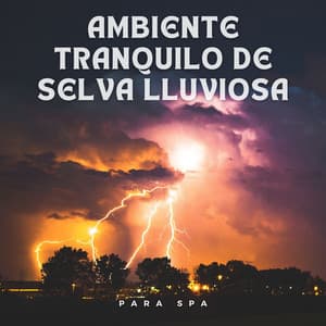 Ambiente Tranquilo De Selva Lluviosa Para Spa - Escuela de Lluvia